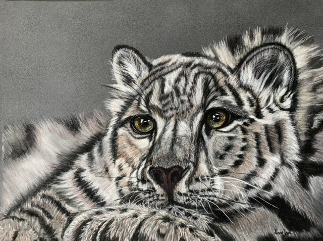 Tiger von Anna Jod Tiger
