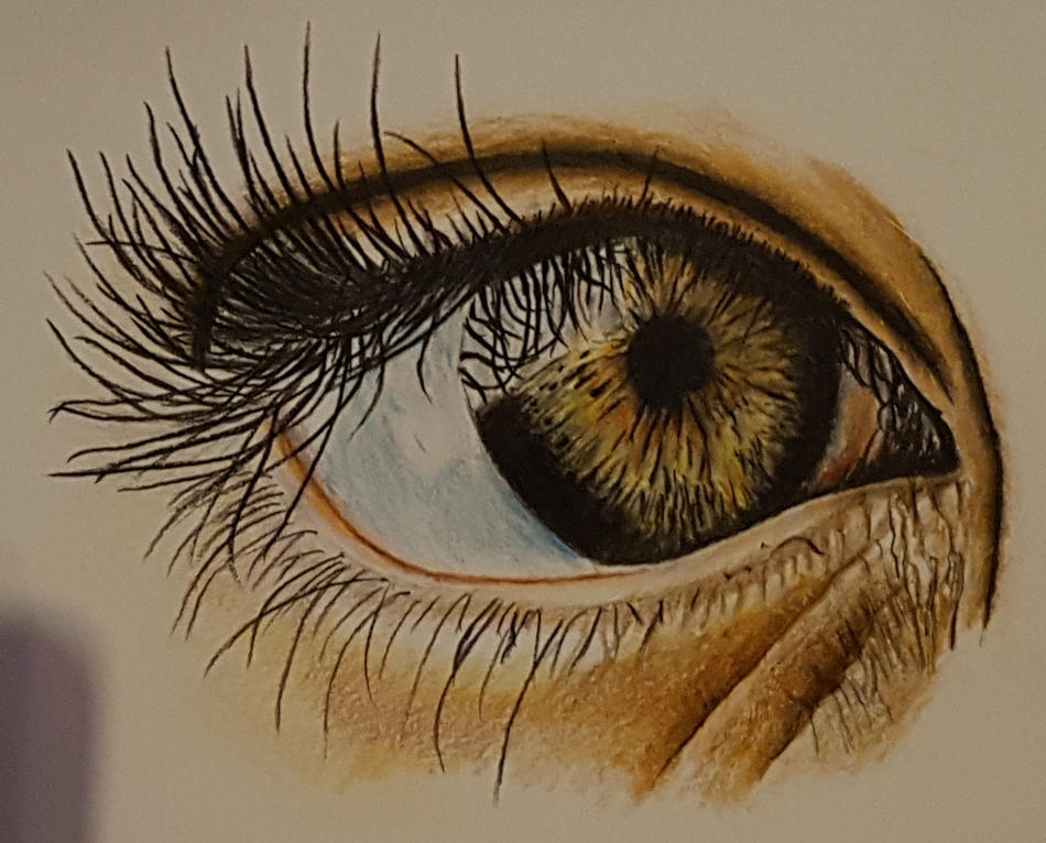 Das Auge von TanLep Das Auge