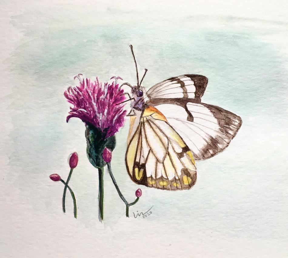 Butterfly's Delight von Lin Butterfly's Delight