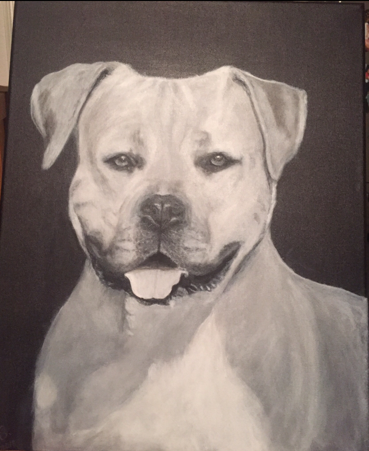 Hund von Hund