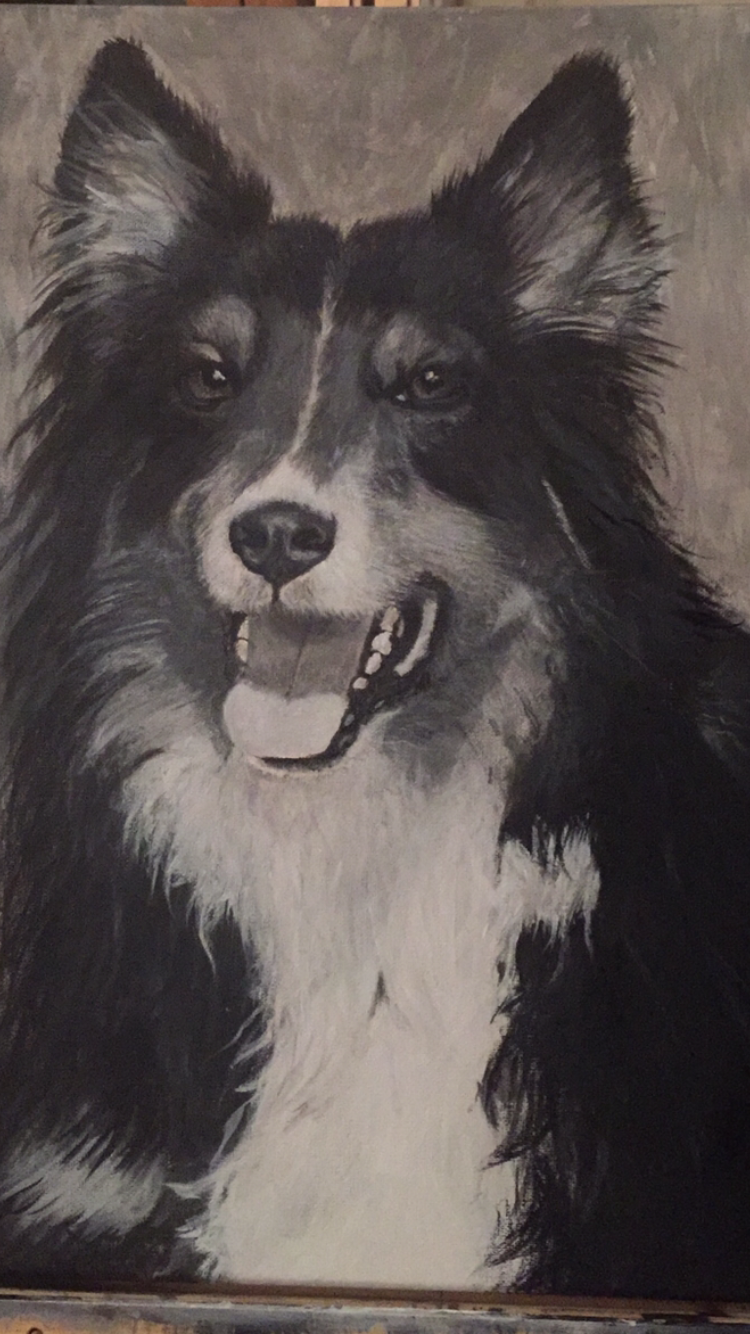 Hund von Hund
