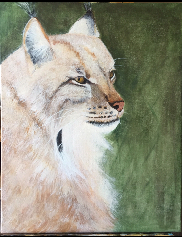 Luchs von Luchs