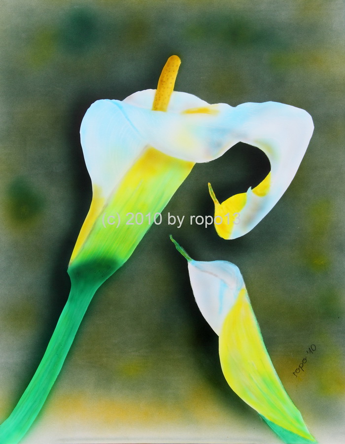 Calla von ropo13 Calla