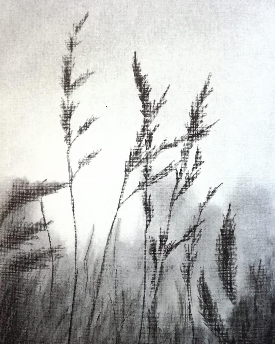 grey summer von Splisserkunst grey summer
