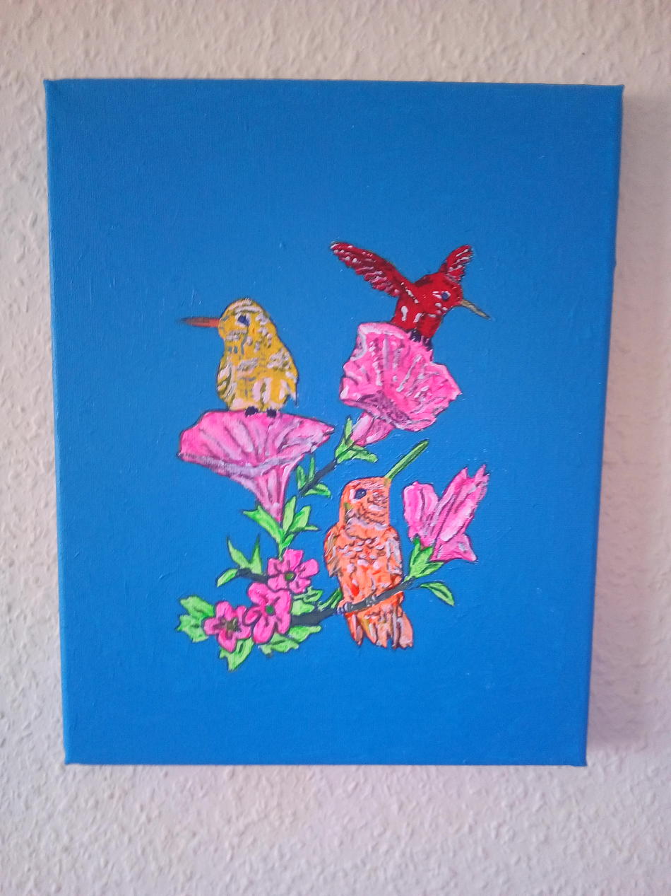 Kolibris von Kolibris