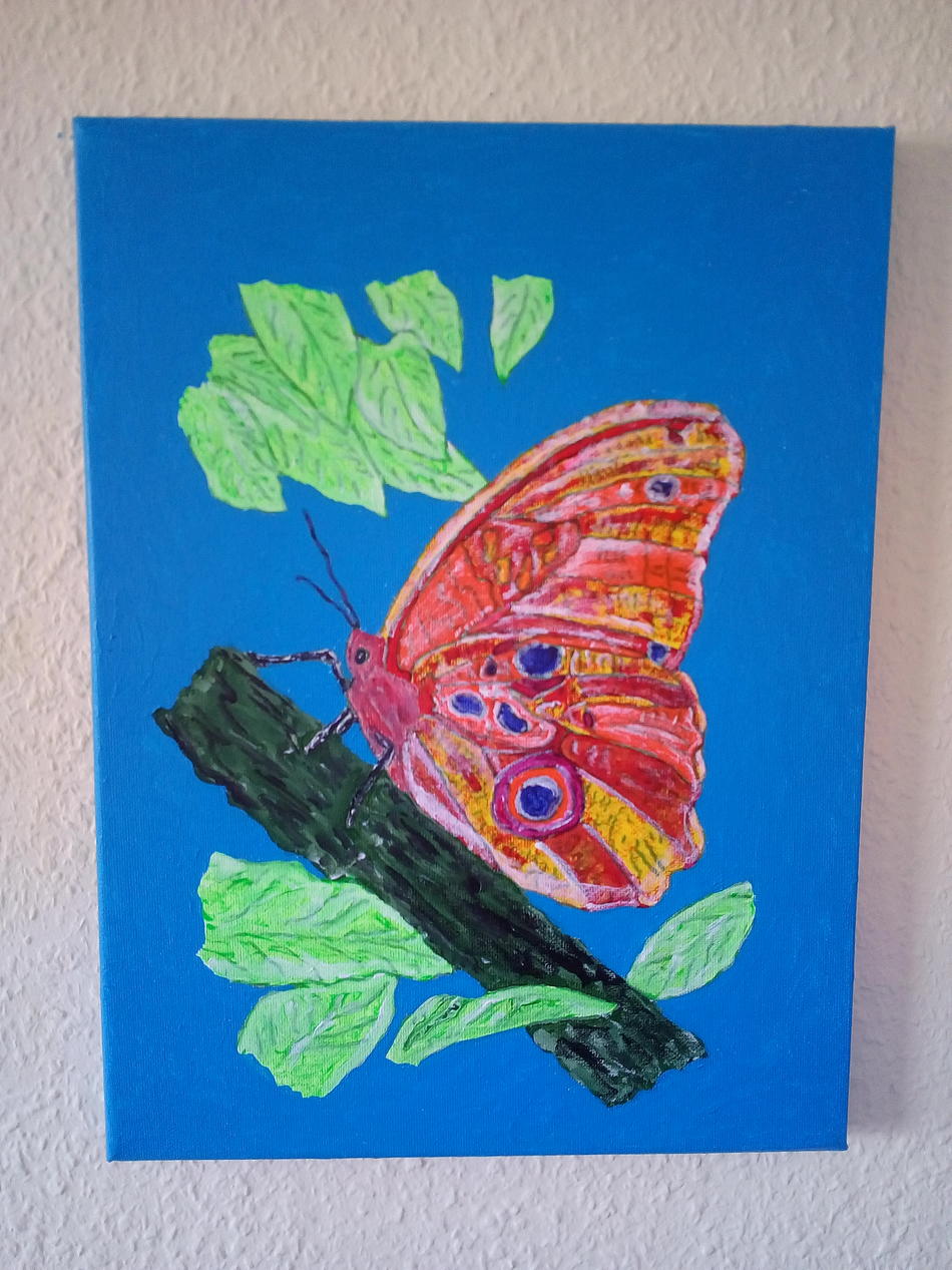 Schmetterling von Schmetterling