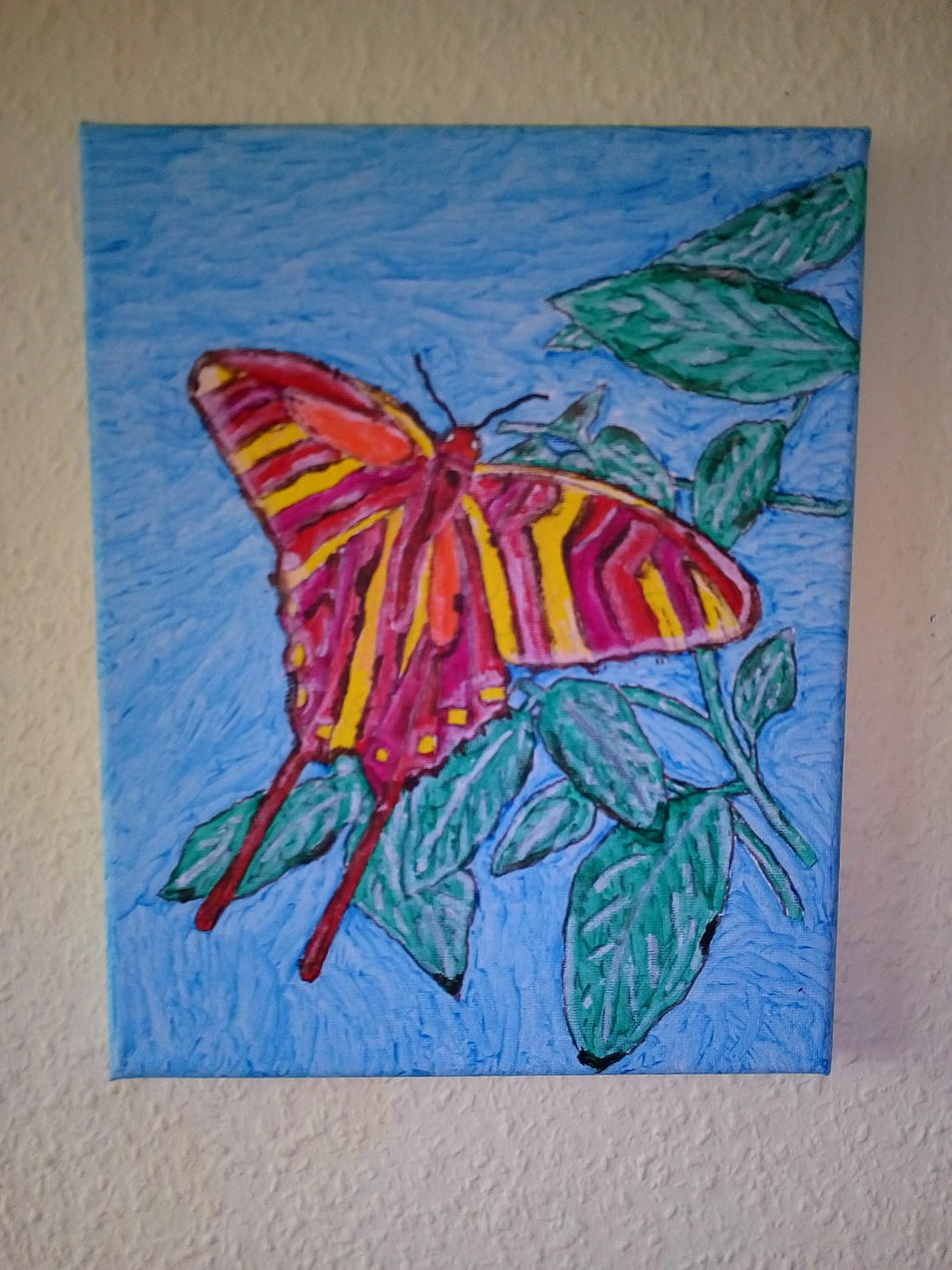 Schmetterling von Schmetterling