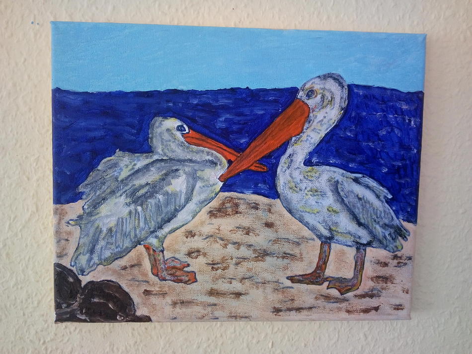 Pelikane von Pelikane