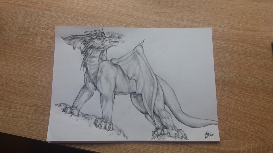 Dragon's Treasure von Dragon's Treasure