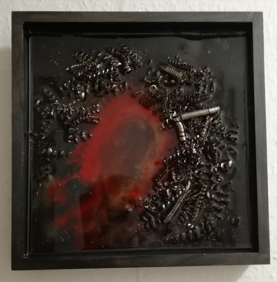 Lockenschopf von Lockenschopf