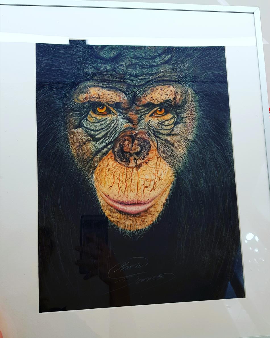 Kong von Kong