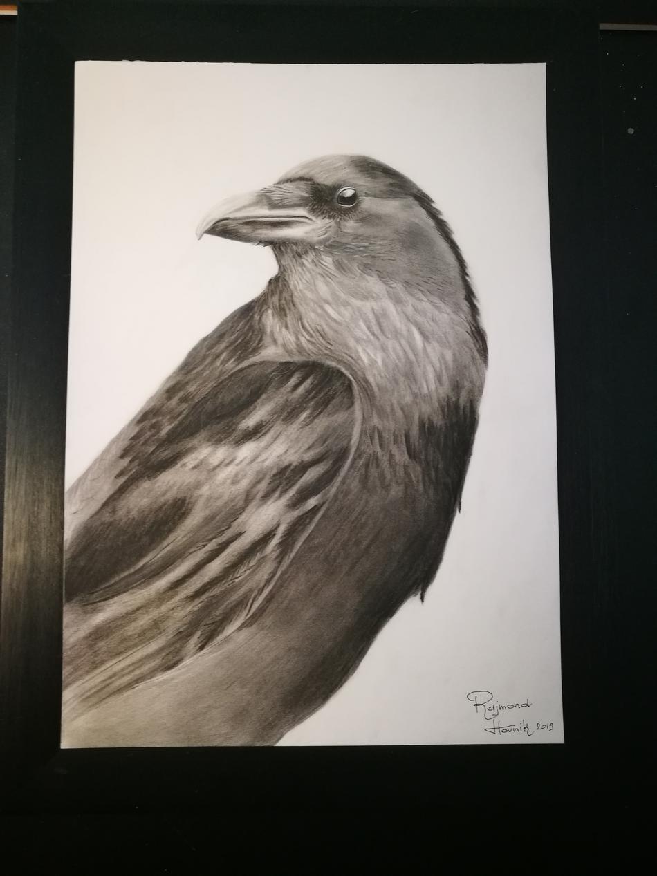 Crow von Hovnik Art Crow