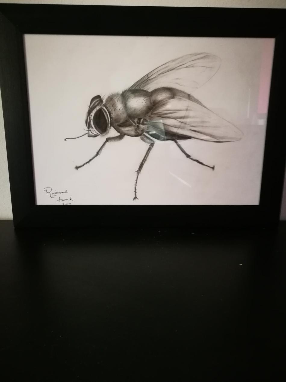 Fly von Hovnik Art Fly