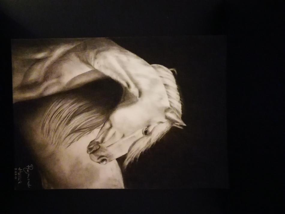 Pferd von Hovnik Art Pferd