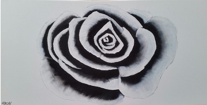Weiße Rose von Weiße Rose