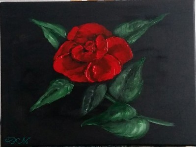 Rote Rose von Rote Rose