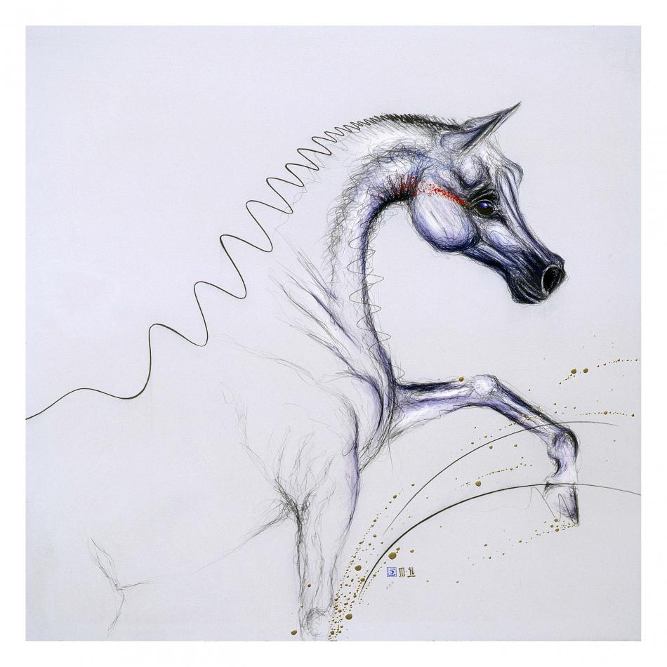 THE ARABIAN THOROUGHBRED von THE ARABIAN THOROUGHBRED