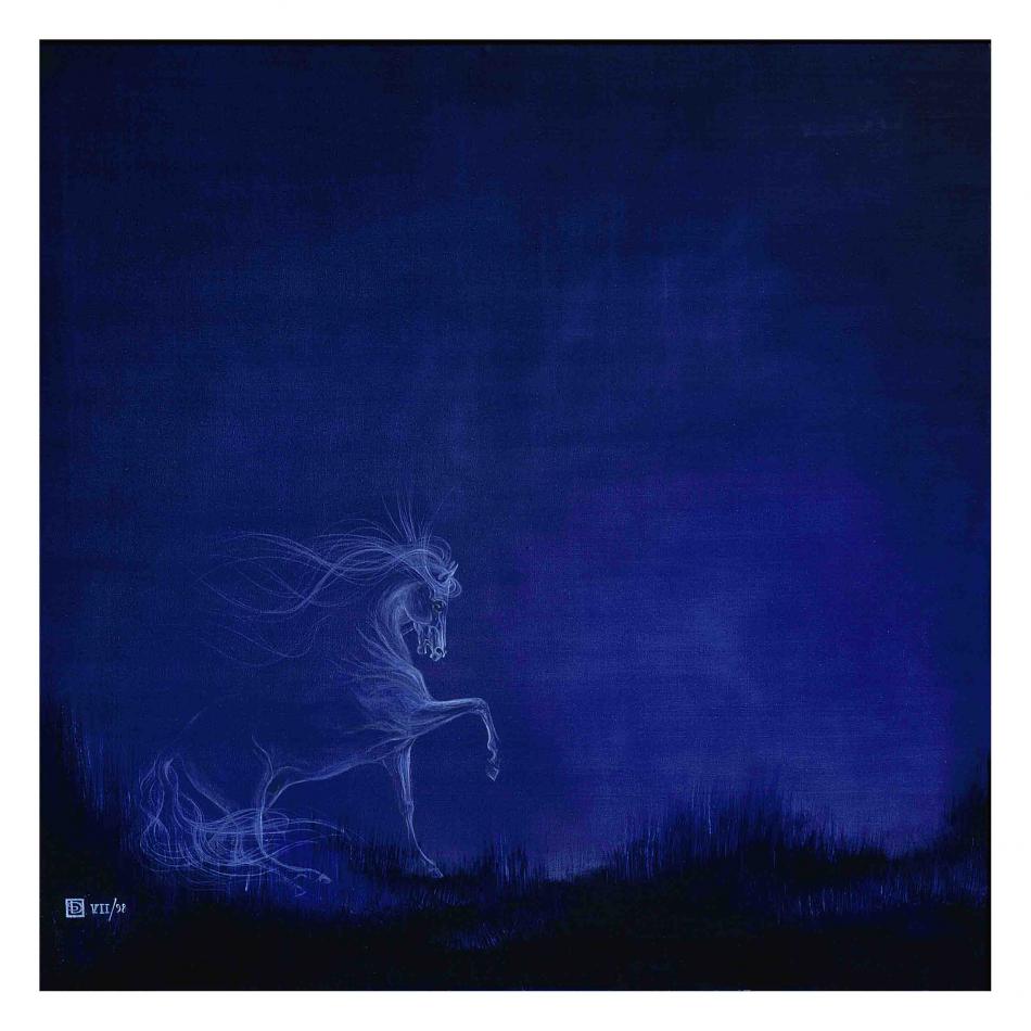 STUDY OF A STALLION AT NIGHT von STUDY OF A STALLION AT NIGHT