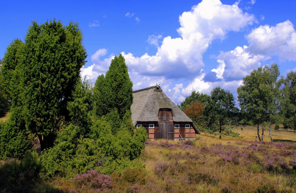 Traumlandschaft LüneburgerHeide von Reubild Traumlandschaft LüneburgerHeide