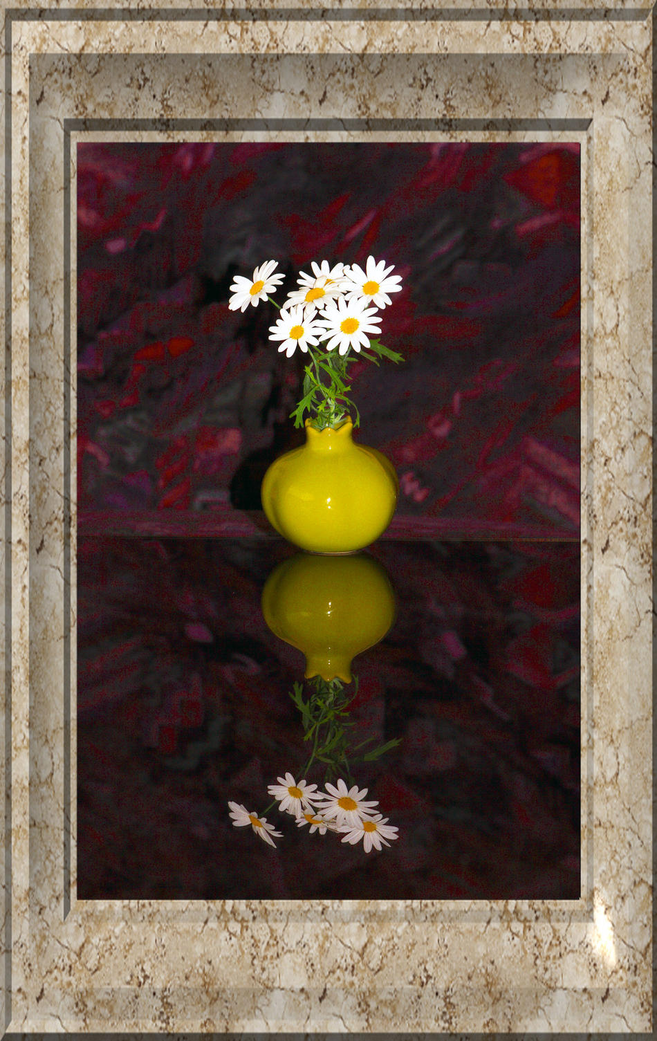 Margeriten von Reubild Margeriten