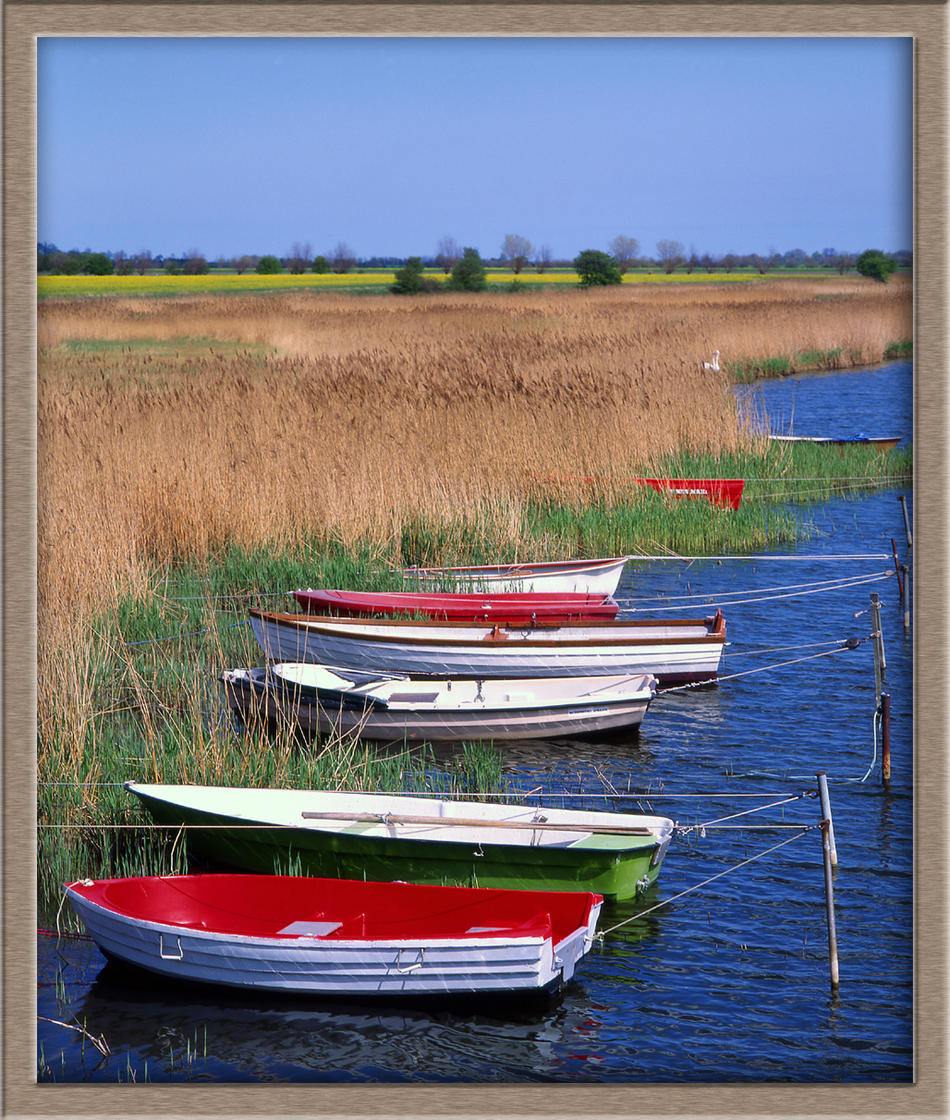 Boote am Schilfufer von Reubild Boote am Schilfufer