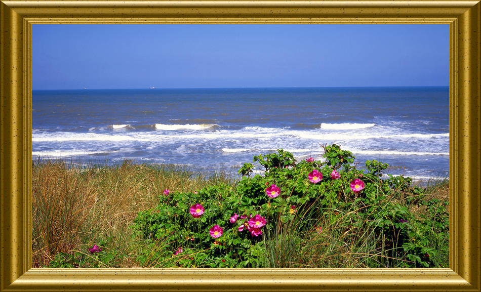 Dünen und Nordsee auf Wangerooge von Reubild Dünen und Nordsee auf Wangerooge