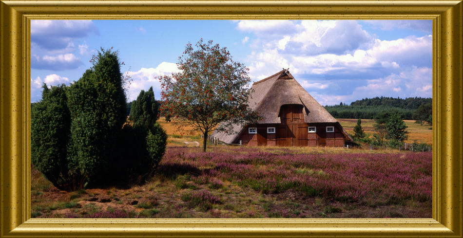 Lüneburgr Heide bei Soltau von Reubild Lüneburgr Heide bei Soltau