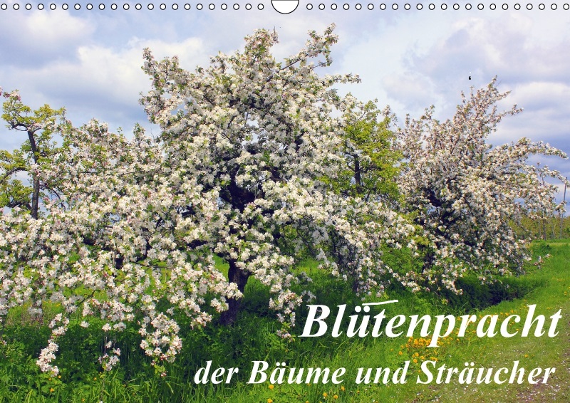 Blütenpracht der Bäume von Reubild Blütenpracht der Bäume