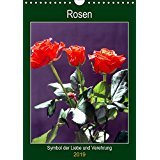 Rosen - Symbol der Liebe und Verehrung von Reubild Rosen - Symbol der Liebe und Verehrung