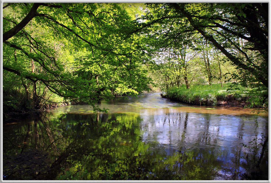 Urlandschaft von Reubild Urlandschaft