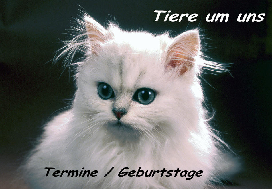 Tiere um uns von Reubild Tiere um uns