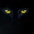 eyes in the dark von Splisserkunst