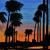 california von Splisserkunst