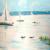 am Bodensee, Schiffe von