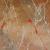 Sand am Meer von geryart