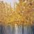 Herbstwald von