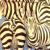 Zebras am Wasserloch von José García y Más