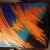 DSC_0523.JPG von