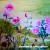Blumen in Brunis Garten von