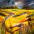 glowing field von Leonie