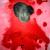 the_terrorist von dr3um