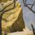 Wild Coast 13 von