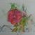 Rose.JPG von