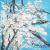 Snowy trees von S.Ril