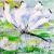 Dragonfly von S.Ril