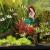 Fishtank von
