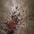 Explosion der Sinne von Chris