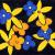 Flowers in Space von