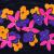 Flowers in Space von