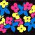 Flowers in Space von